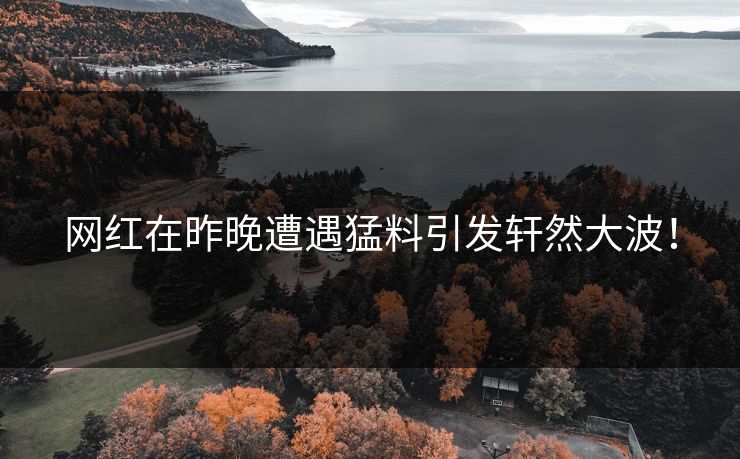 网红在昨晚遭遇猛料引发轩然大波！