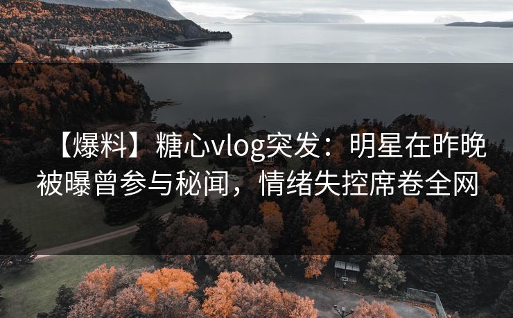 【爆料】糖心vlog突发：明星在昨晚被曝曾参与秘闻，情绪失控席卷全网